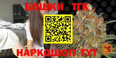 гашик Гатчина