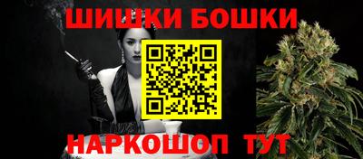 гашик Гатчина