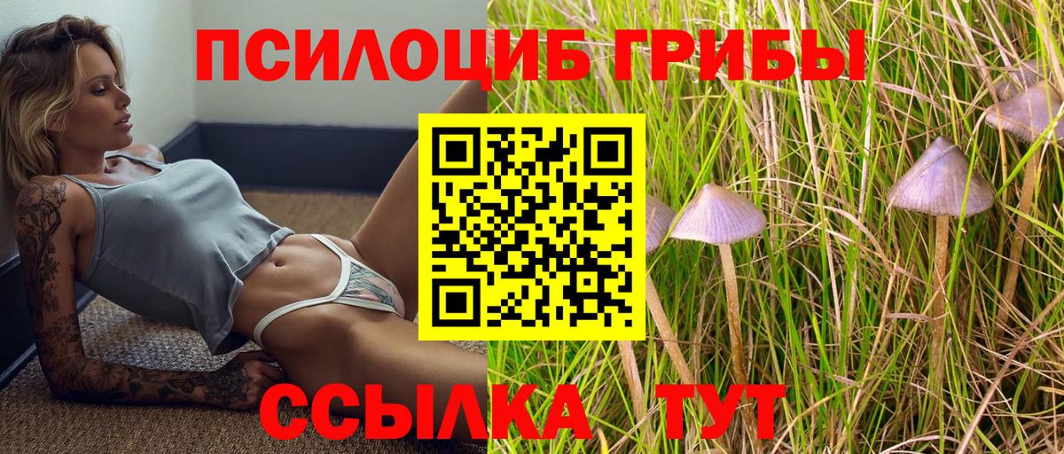 Галлюциногенные грибы прущие грибы  Вход с VPN  Нурлат 