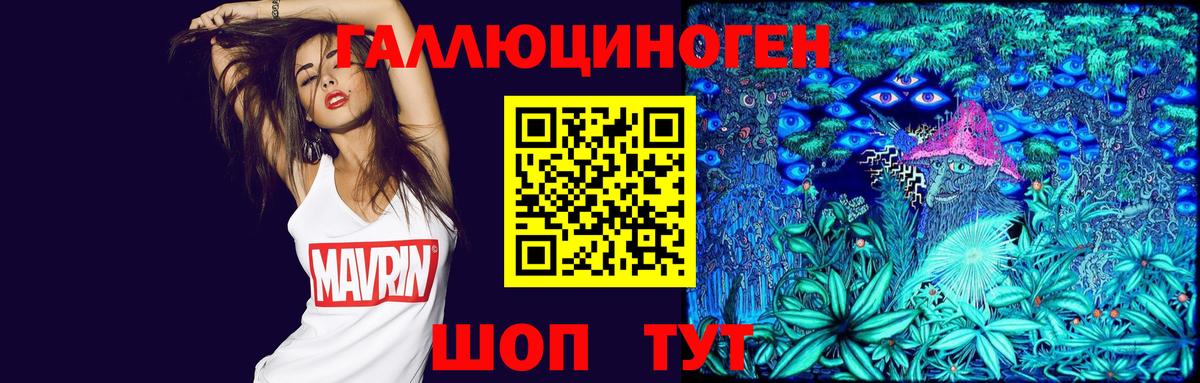 Галлюциногенные грибы Psilocybe Нурлат